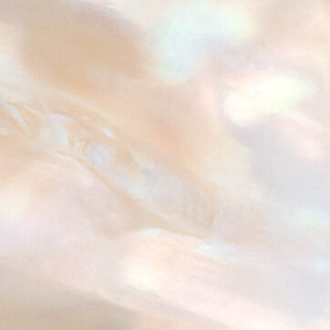 classic pearl background. pink pearl background